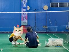 -南宫羽毛球馆