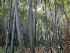 -杭州黄龙洞