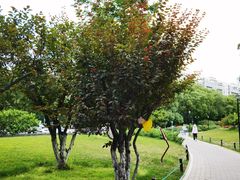 -北京明城墙遗址公园