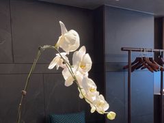 -浩运·海鲜青岛菜·海胆水饺(石老人店)