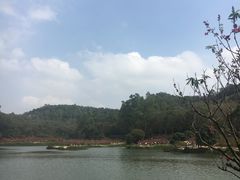 -南国桃园旅游度假区