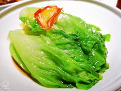 白灼罗马生菜-悦融·京鲁菜·露台花园(安定门店)
