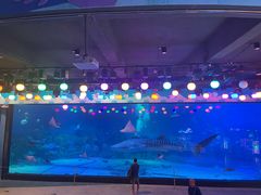 -烟台海昌鲸鲨海洋公园