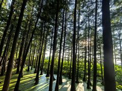 -云龙湖旅游景区