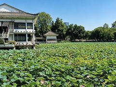 -荔湾湖公园