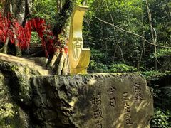 -七仙岭温泉国家森林公园