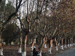 -华东政法大学(松江校区)