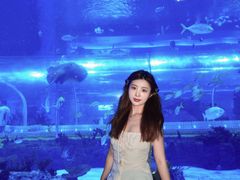 -石家庄极地海洋世界