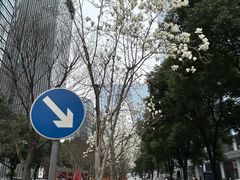-中海财富中心