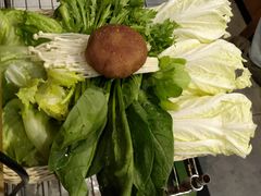 -友乐居羊蝎子(西直门店)