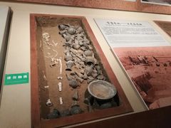 -临沂市博物馆