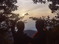 -武陵山森林公园