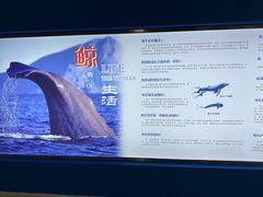 -上海海洋大学鱼文化博物馆(军工路校区)