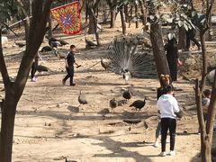 -西安秦岭野生动物园