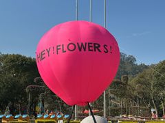 -东南花都花博园