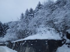 -太子岭滑雪场