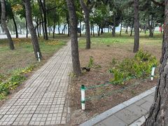 -北陵公园