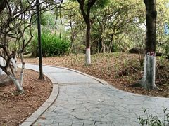-燕晗山郊野公园