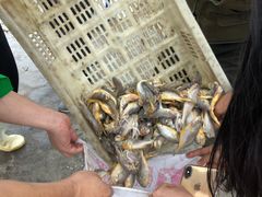 -青岛沙子口国家中心渔港