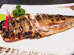 -将太无二·北美传奇寿司(瑞士公寓店)