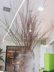 -YESIDO BLACK椰岛造型