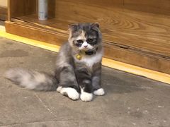 -渔太泰漓江小馆·广西融合菜(西街店)