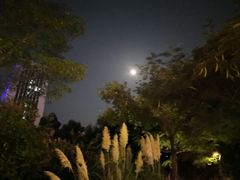 -百家福海鲜排档·闽菜·家宴(斗西路口店)
