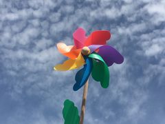 -清真·噃茄树黄柿子火锅