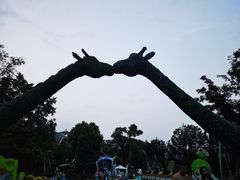 -苏州乐园森林水世界