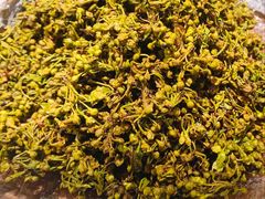 -滇铺子·云南特色菜·第九届野生菌美食节(东风东路c86店)