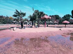 -鹅湖玫瑰文化园