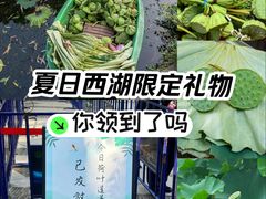 -柳浪闻莺公园