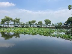 -无锡蠡湖国家湿地公园-蠡园