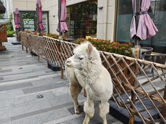 -北京远航国际酒店