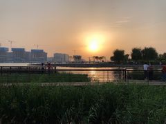 -郑东新区龙湖公共艺术中心