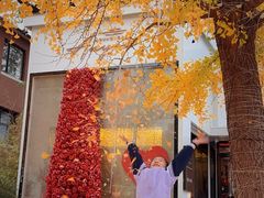 -天正河鲀·河豚亭(大连店)