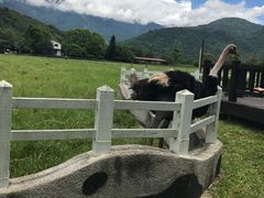 -瑞穗牧场