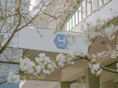 -上海辰山植物园