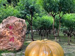 -广州市白云山风景名胜区