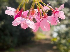 -艾溪湖湿地公园