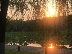 -浙江西湖美术馆