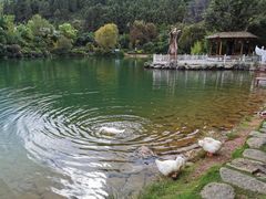 -蝴蝶泉公园
