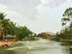 iphone_upload_pic-七珍佛山