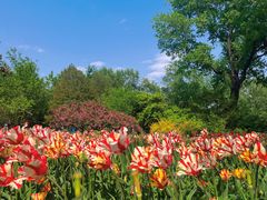 -国家植物园南园