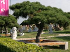 -龙口南山旅游景区