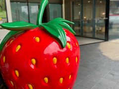 -树夏(金楠天街店)