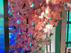 -野妹火锅(龙岗店)