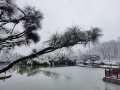 -终南山国家森林公园