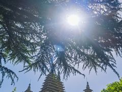 -北京石刻艺术博物馆(五塔寺)