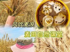 -嘉北郊野公园